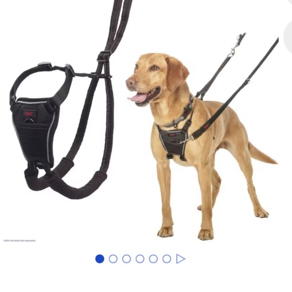 Halti nylon no pull dog harness size medium - Picture 4 of 6